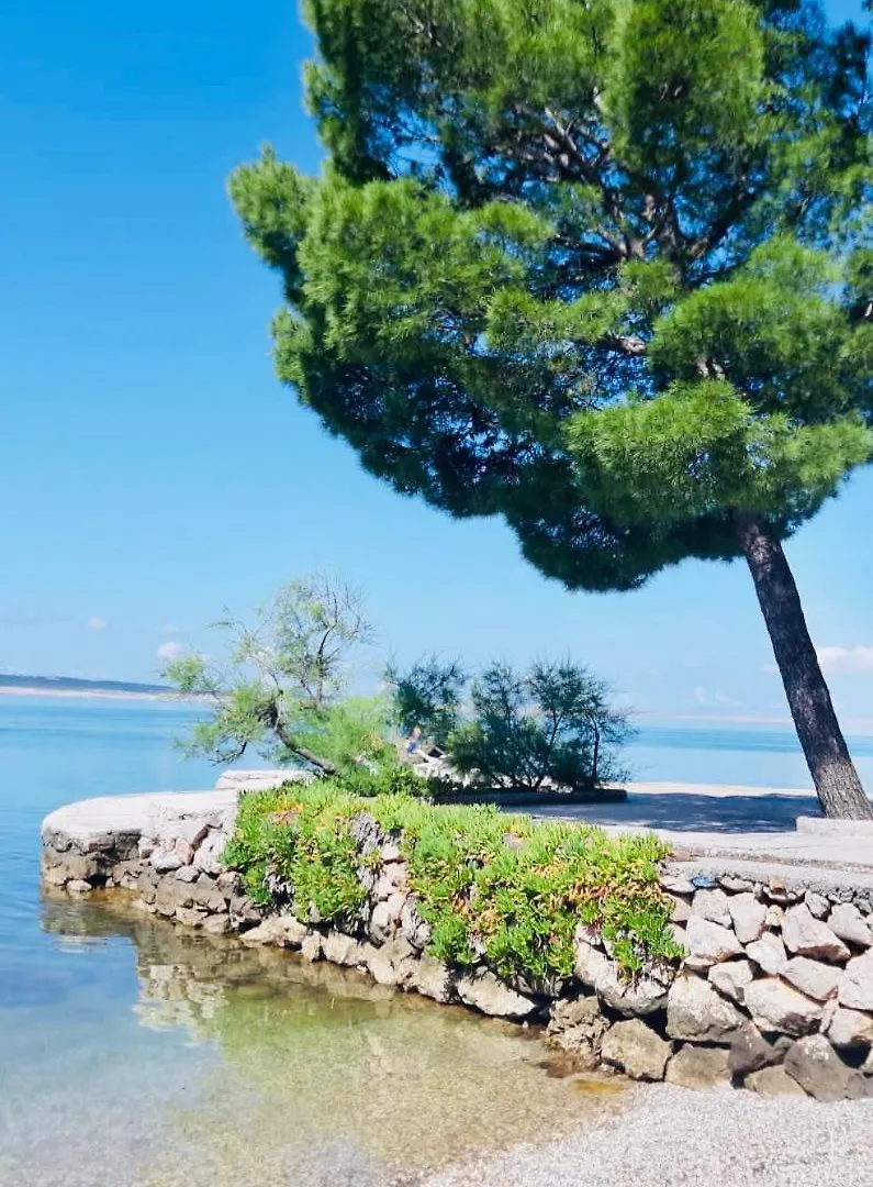 Apartments Europa Starigrad Paklenica 3*,  Chorwacja